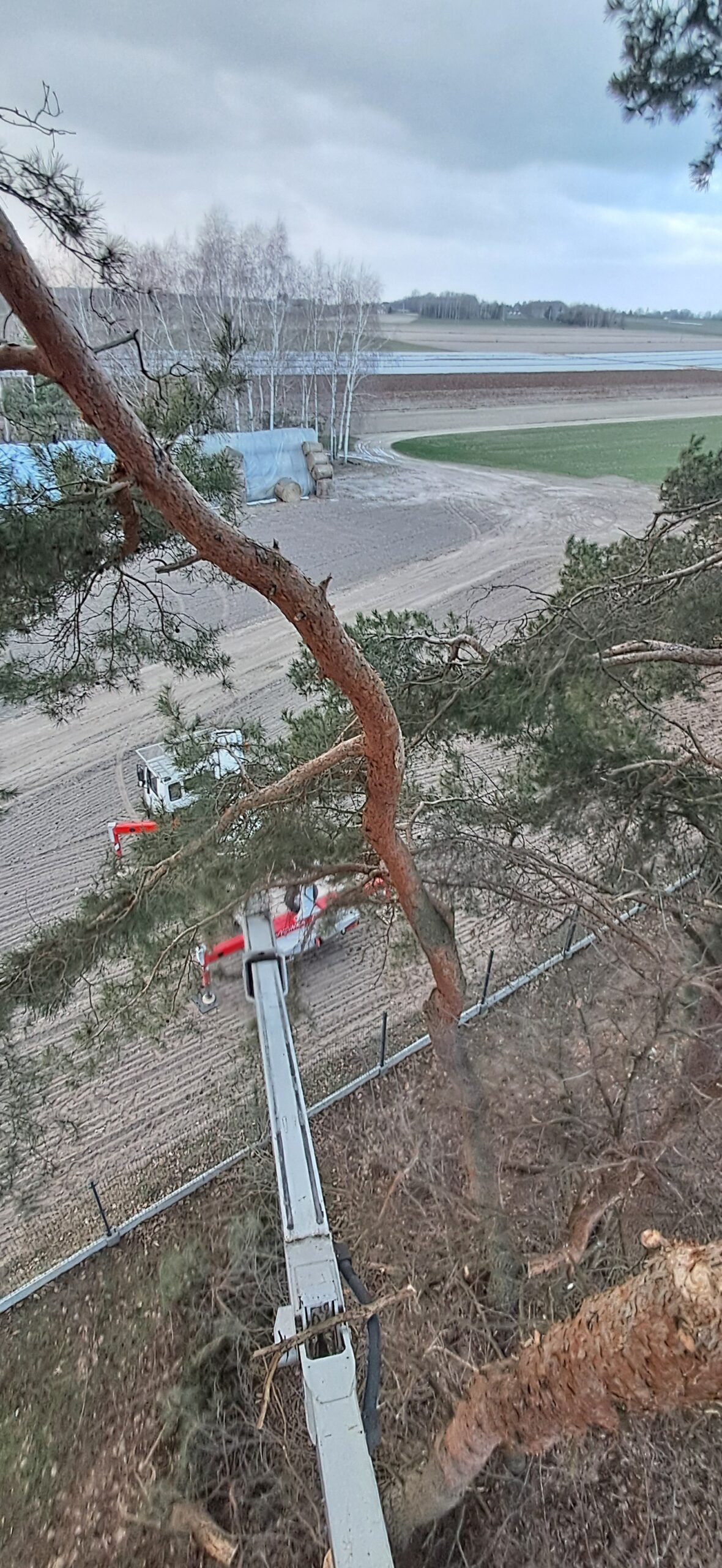 Realizacja podnośnika koszowego w Płońsku i okolicach