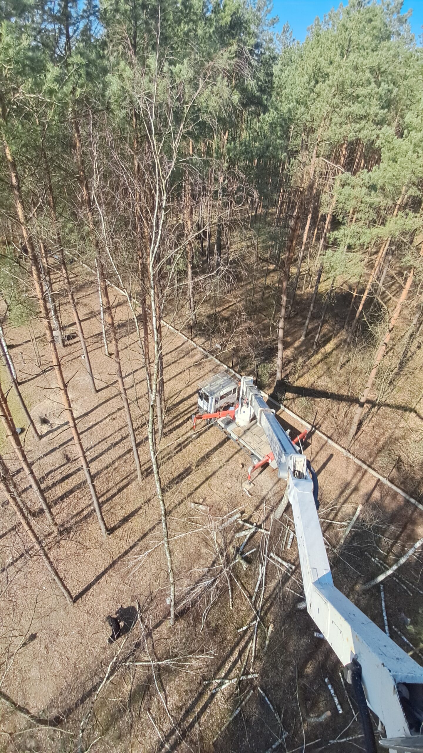 Realizacja podnośnika koszowego w Płońsku i okolicach