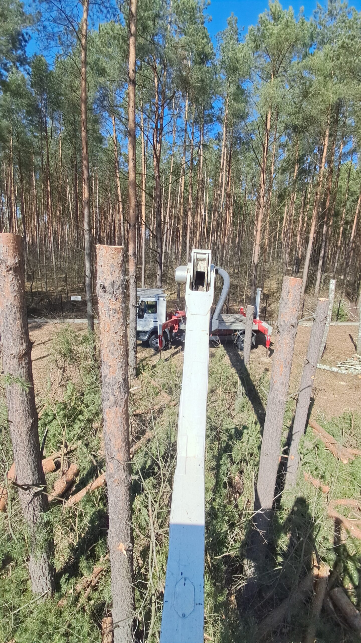 Realizacja podnośnika koszowego w Płońsku i okolicach