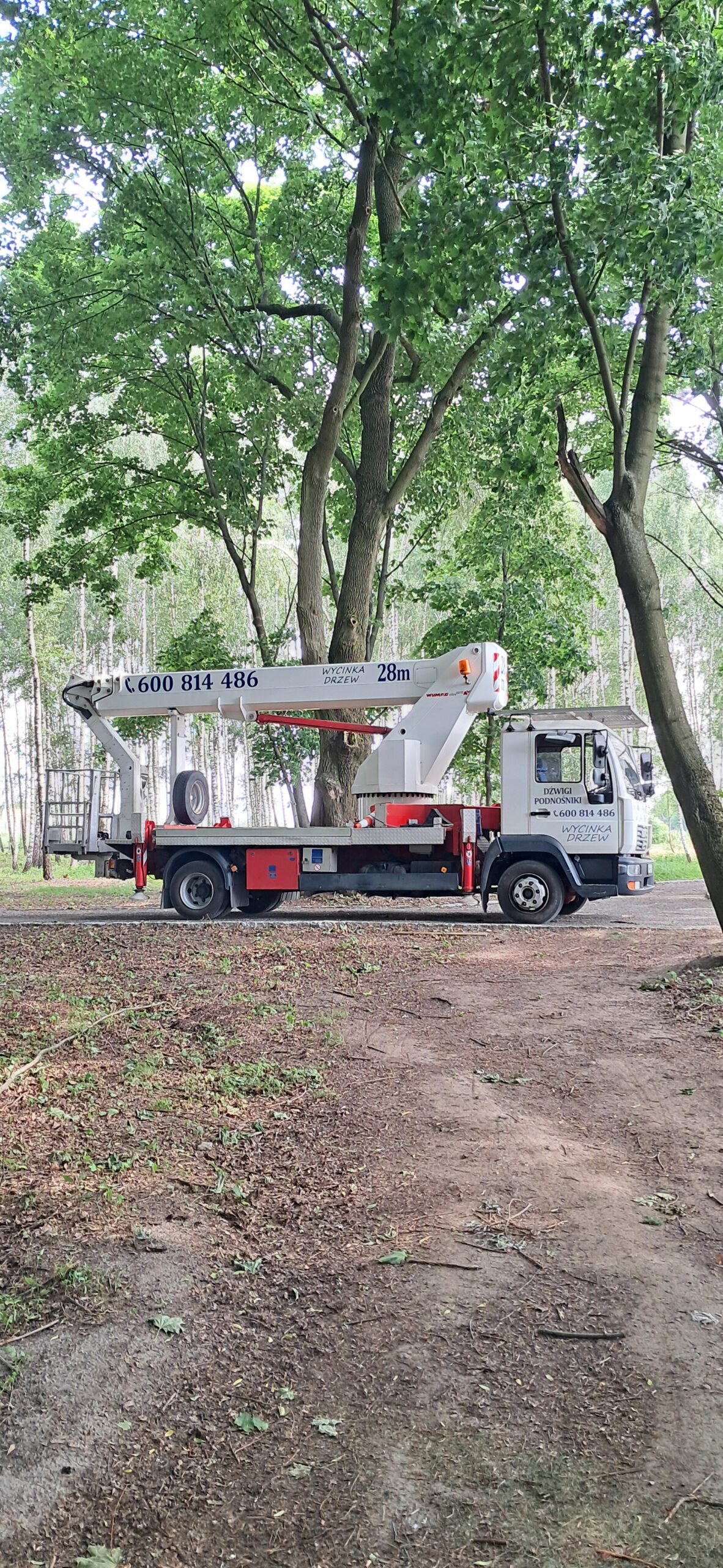 Realizacja podnośnika koszowego w Płońsku i okolicach