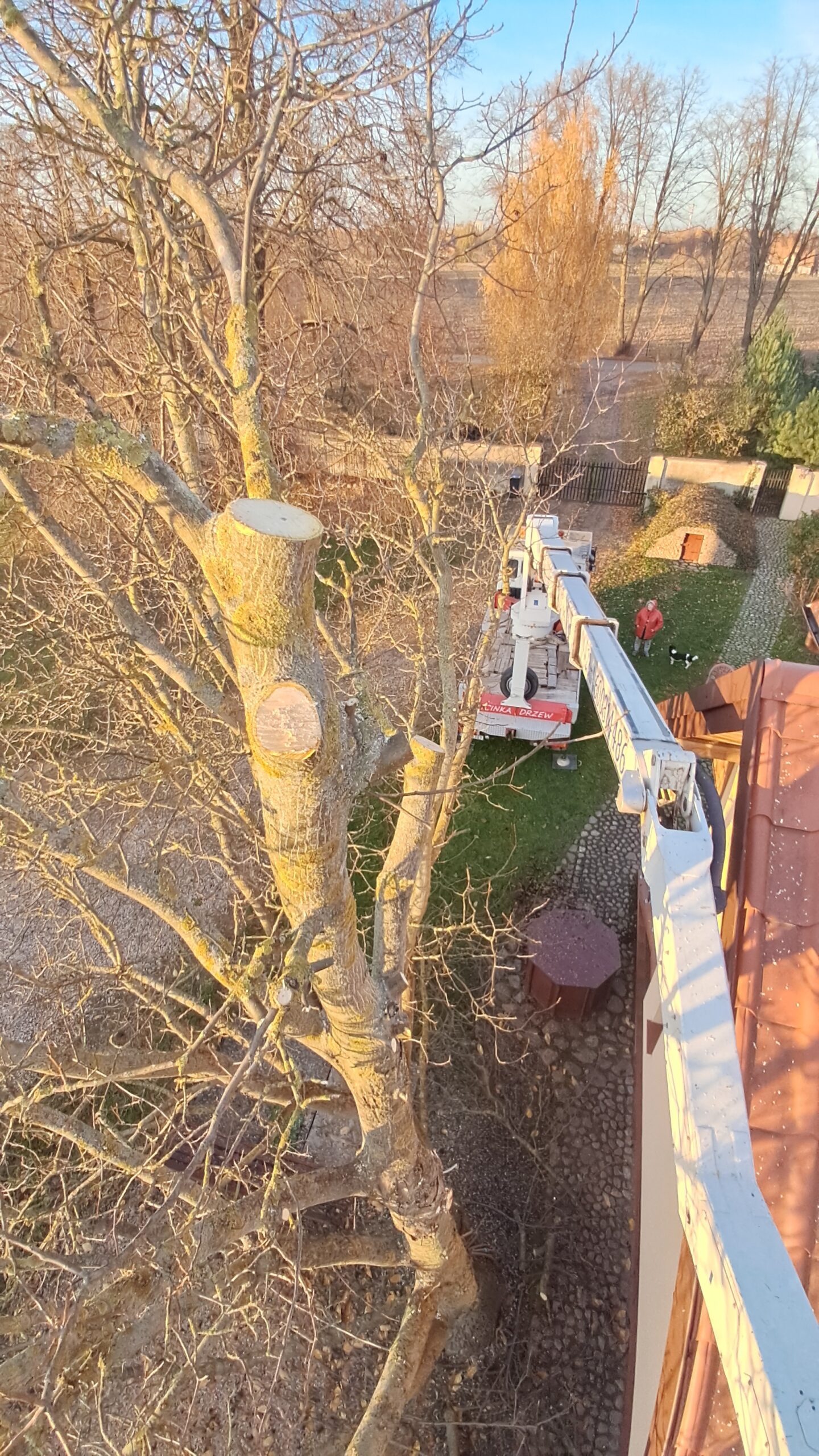 Realizacja podnośnika koszowego w Płońsku i okolicach