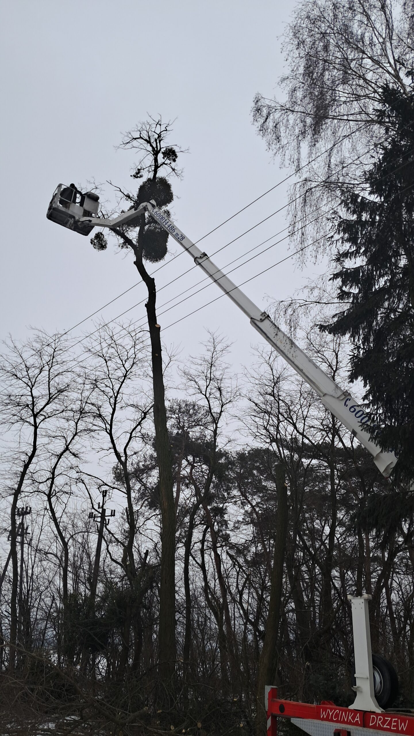 Realizacja podnośnika koszowego w Płońsku i okolicach